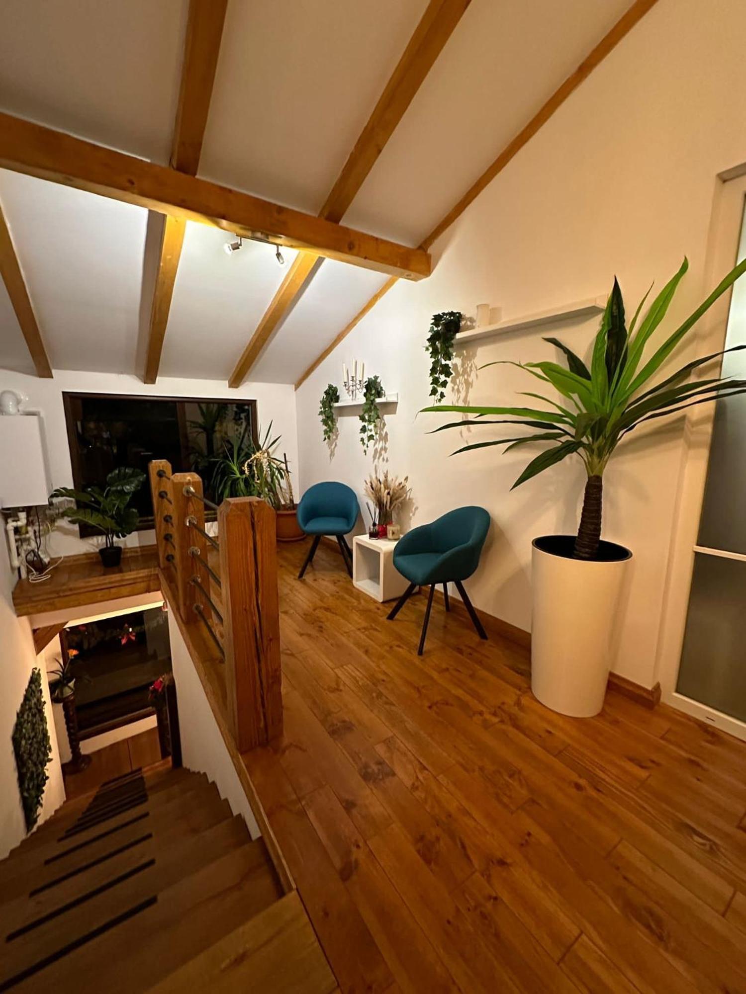 Attic 33 Apartment Campulung Moldovenesc Exterior photo